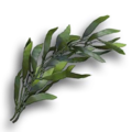120px-kelp-icon.png