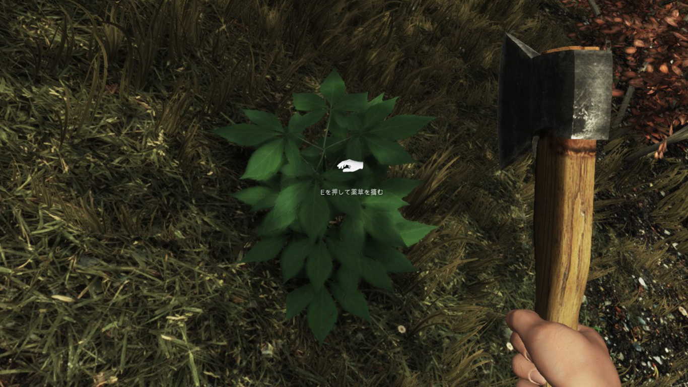 オブジェクト:植物:薬草.jpg