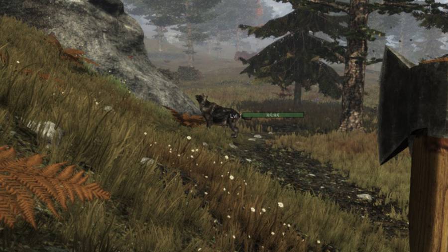 wolf.jpg