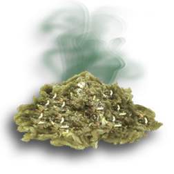 rotten_meat-icon.png
