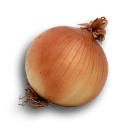 onions-icon.png