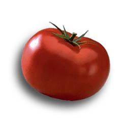 tomato-icon.png